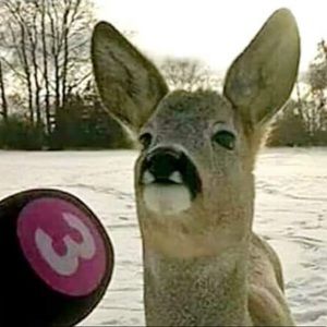 Meet your Posher, Zachary